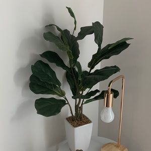 Beautiful faux plant